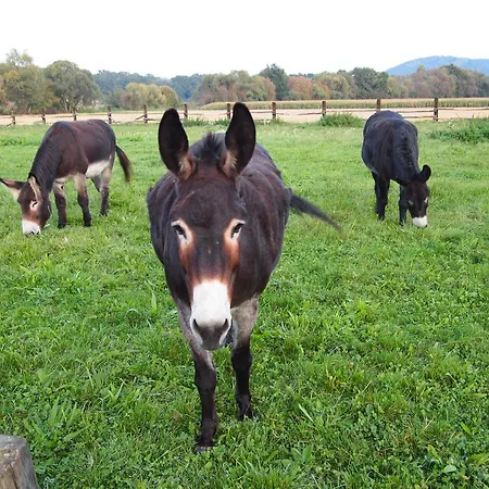 Habermannova Gæstehus 3*