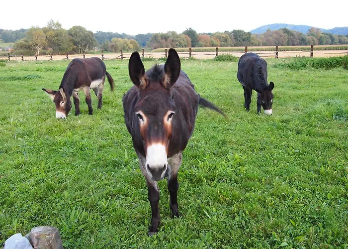 Habermannova Affittacamere 3*